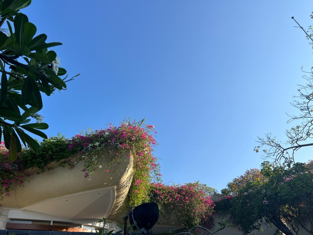 Primaveras em cascata sobre um edifício em Bali