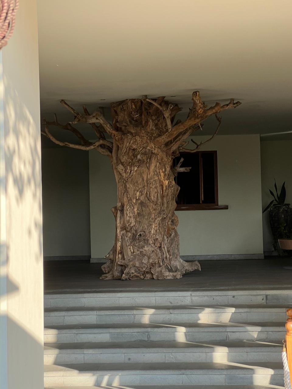 Árvore esculpida em um hall de entrada